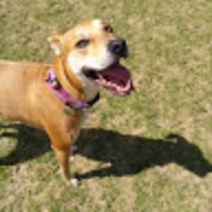 Meet your Posher, Jon